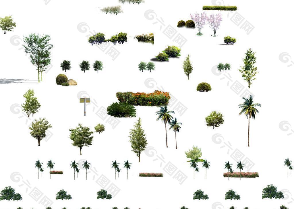 各种树木 园林装饰图片