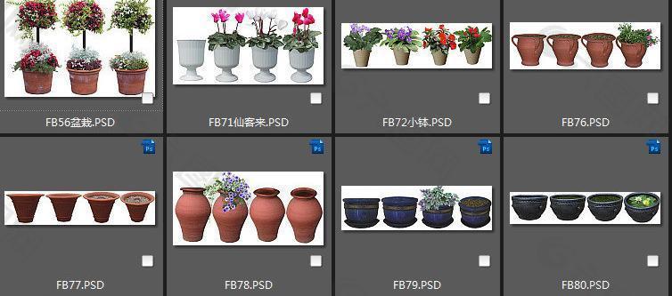 盆栽素材图片