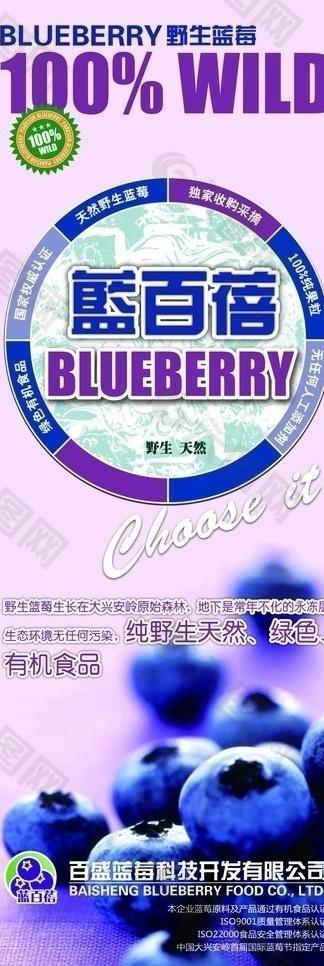 野生蓝莓展架图片