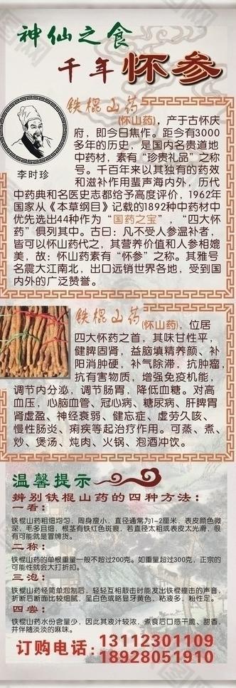 神仙之食千年怀参x展架图片