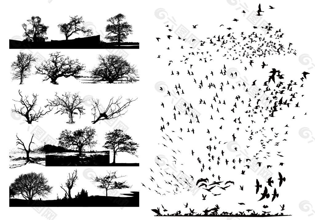矢量树和飞鸟
