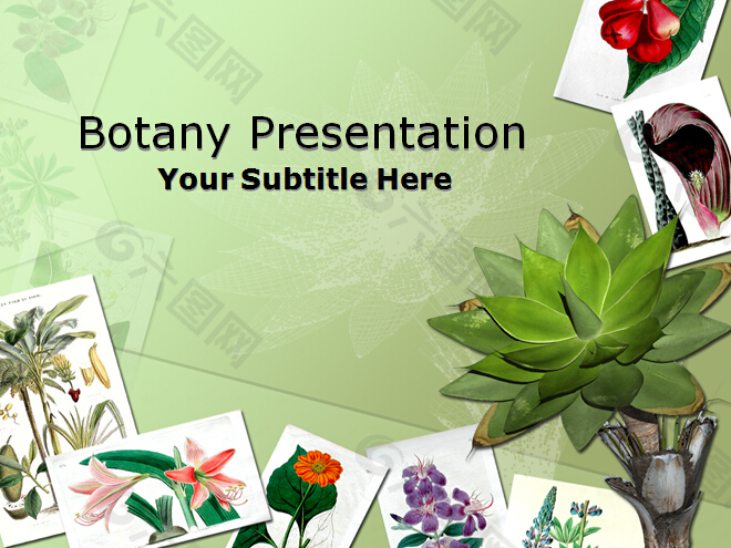 植物图片展示模板免费下载