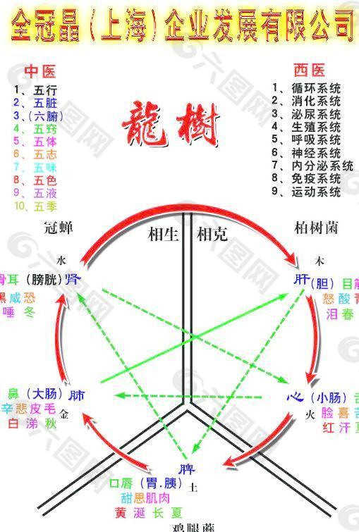 龙树图片