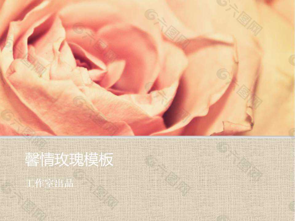 馨情玫瑰PPT模板下载