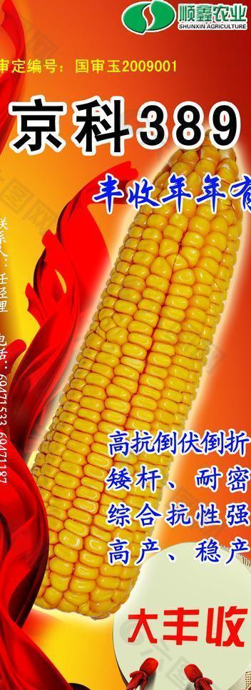 顺鑫农业京科389玉米易拉宝图片