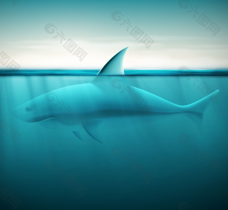 海洋鲨鱼设计矢量素材