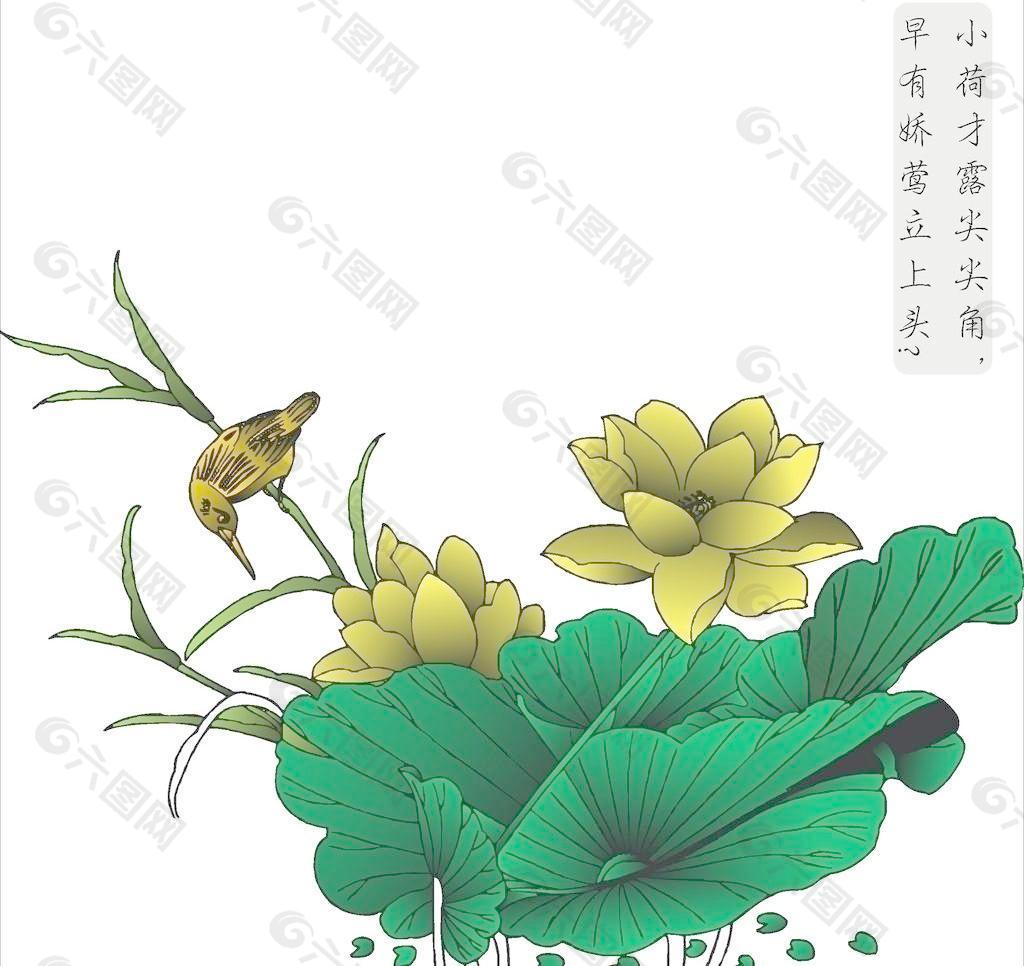 荷花 小鸟图片