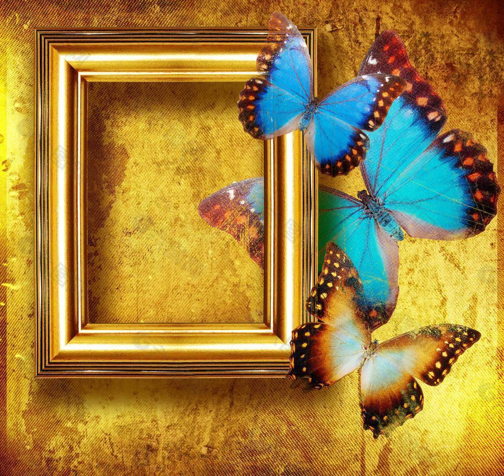 古典相框边框 蝴蝶图片