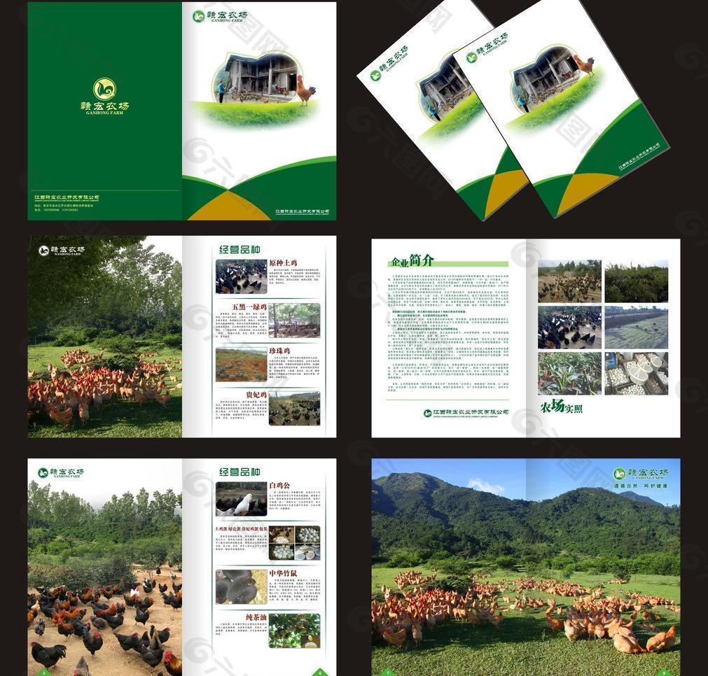 农业 画册图片