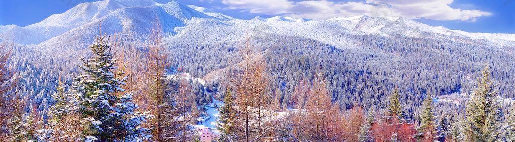 雪山 风景画 森林 树木 蓝天白云图片