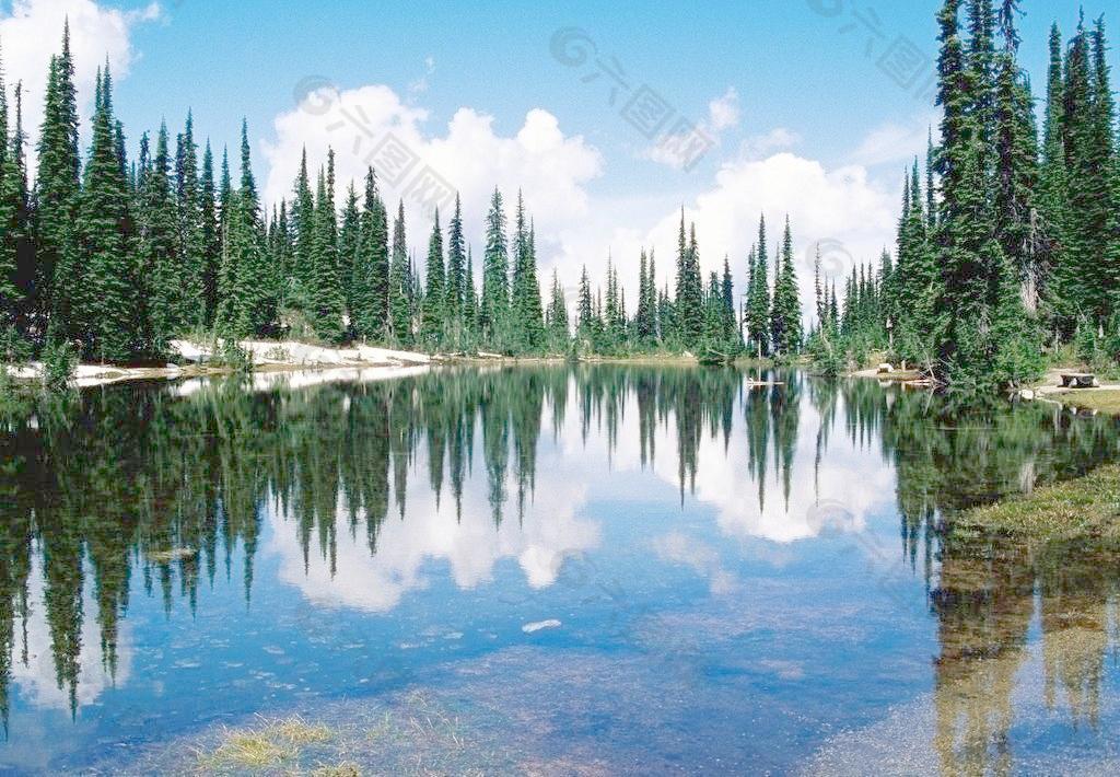山水图 风景画 森林 湖泊图片