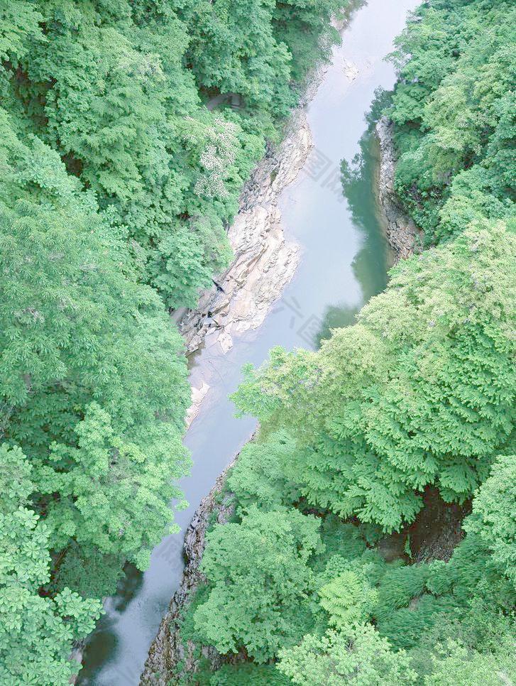 树林河流图片