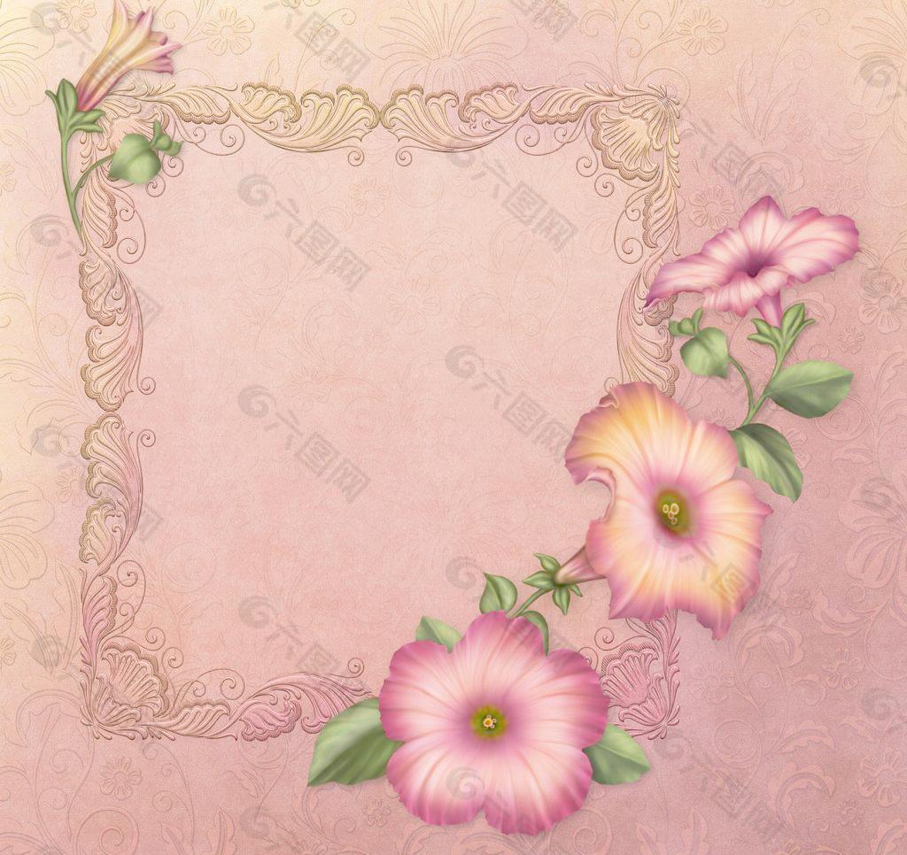 欧式花纹 花卉图片
