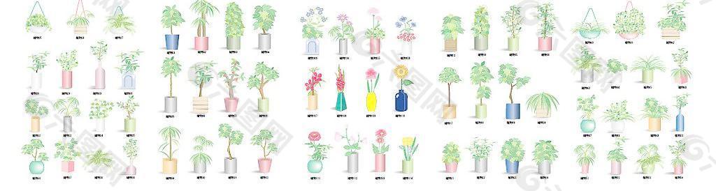 植物花卉元素矢量素材-1图片
