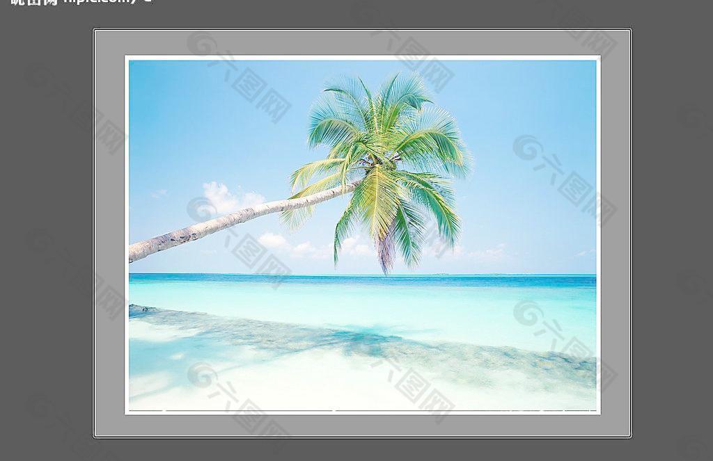 自然美景沙滩风景树图片