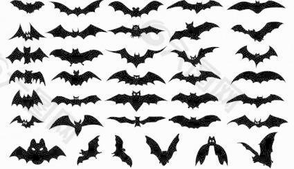 向量组的万圣节蝙蝠的剪影