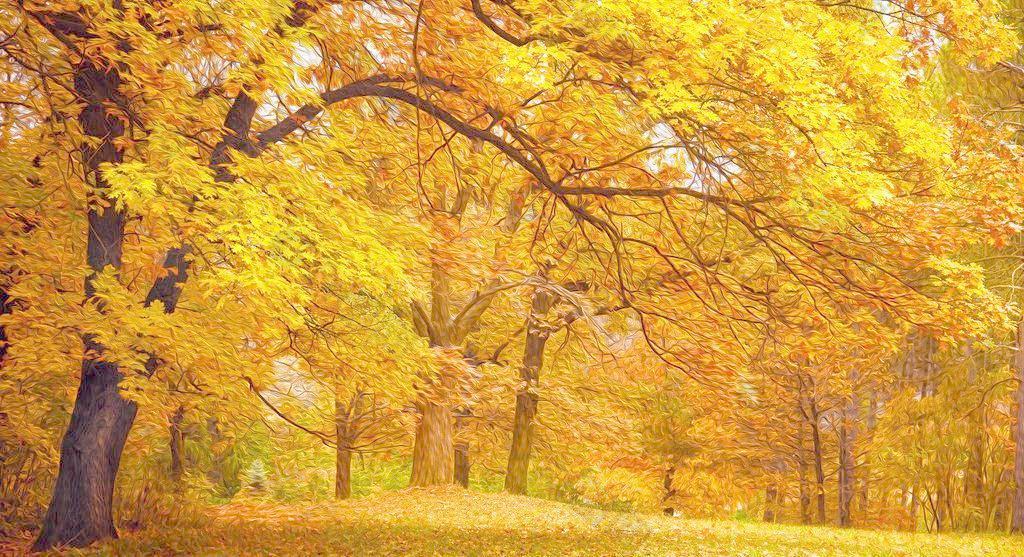 秋天油画风景图片