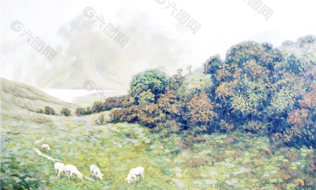 高原牧羊图片
