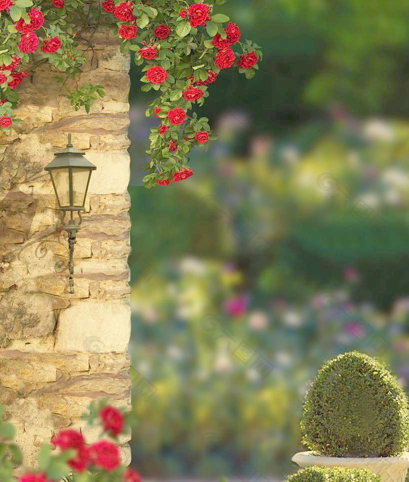 欧式花园洋房 惬意时光图片
