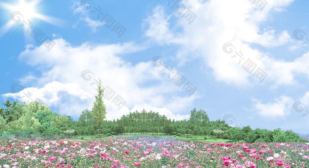 蓝天 白云 树林 花园 风景图片