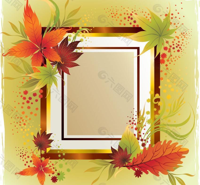 秋天的枫叶花纹 相框 边框图片