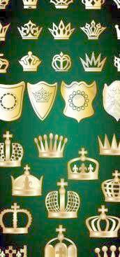 金皇冠和盾牌矢量