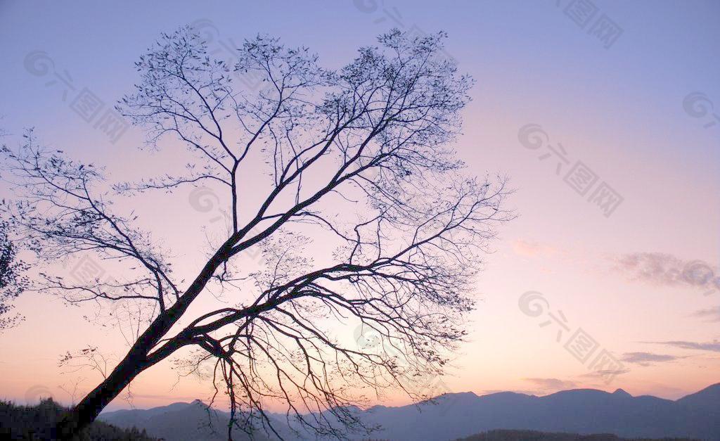 长岭岗风景图片