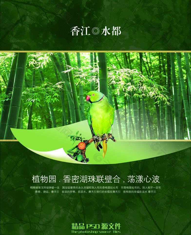 绿色竹林鹦鹉创意设计图片