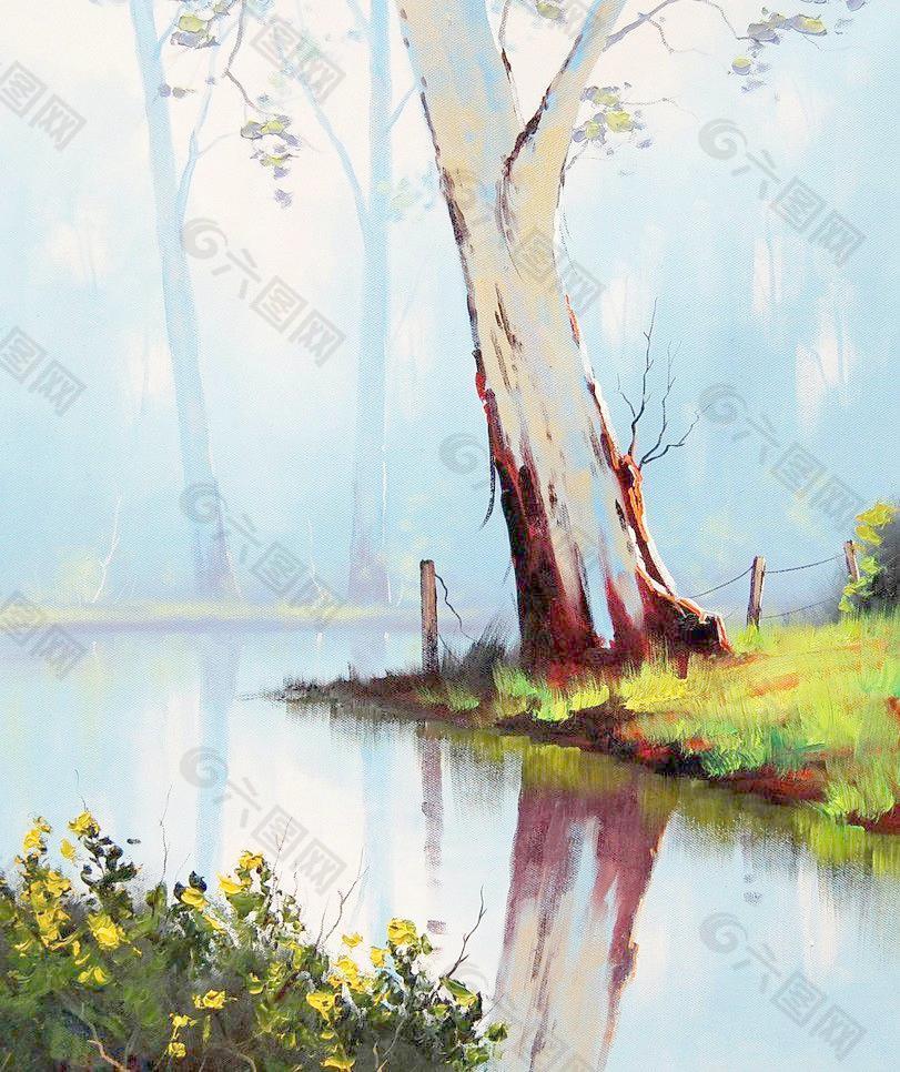 油画 河岸桉树图片