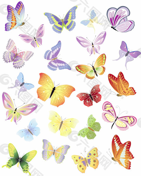 各种美丽的蝴蝶矢量