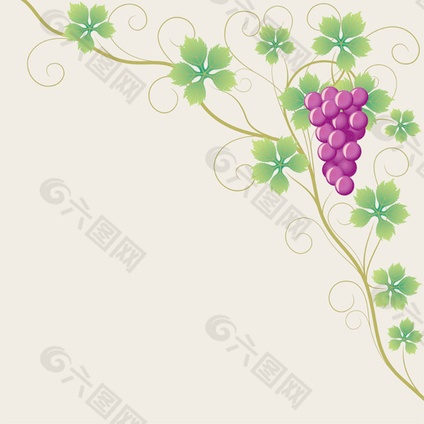 紫葡萄和葡萄叶子矢量
