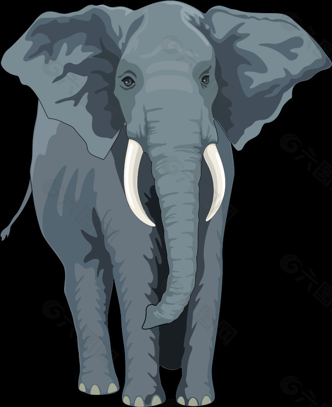 大象2