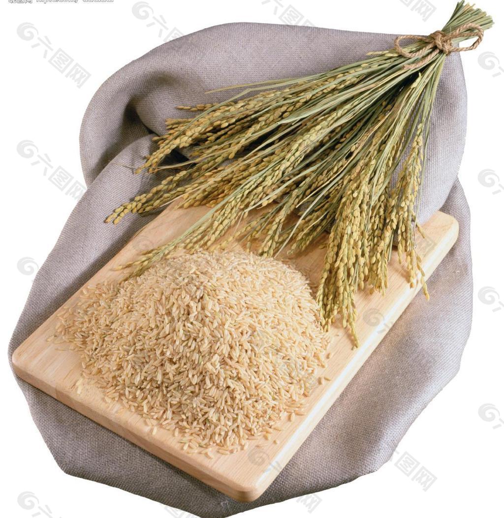 米业 粮食 农业图片