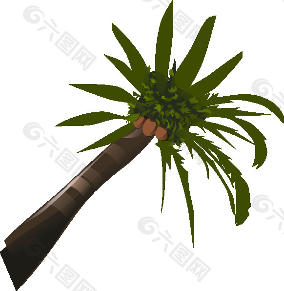 一个椰子树剪贴画