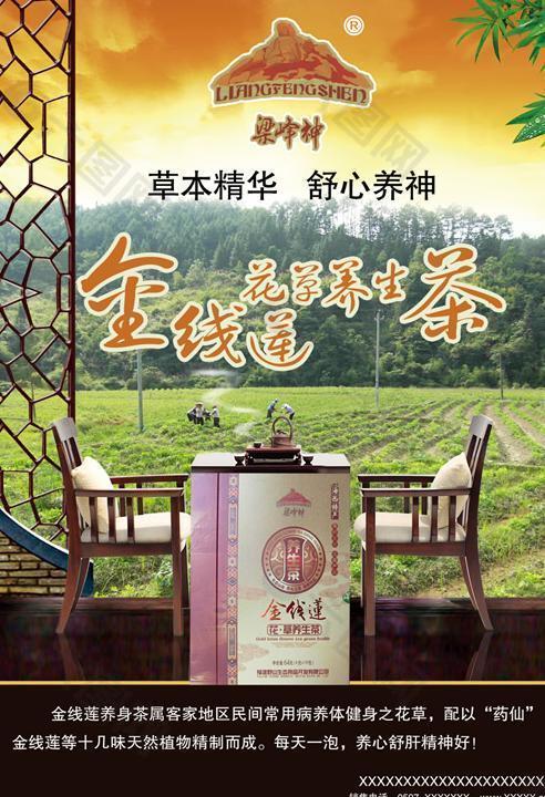 金线莲养生茶广告PSD宣传海