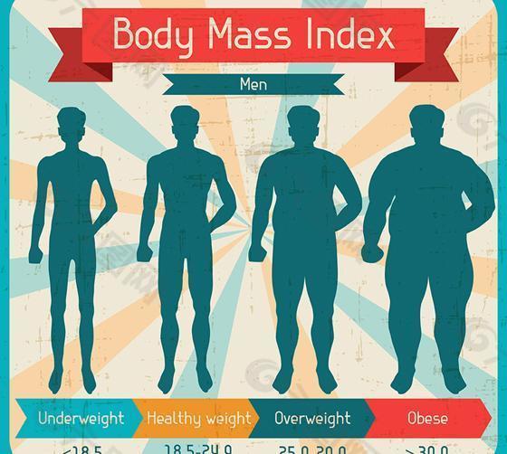 男性身体质量指数图矢量素材