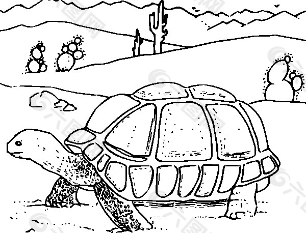 着色书沙漠龟的剪贴画