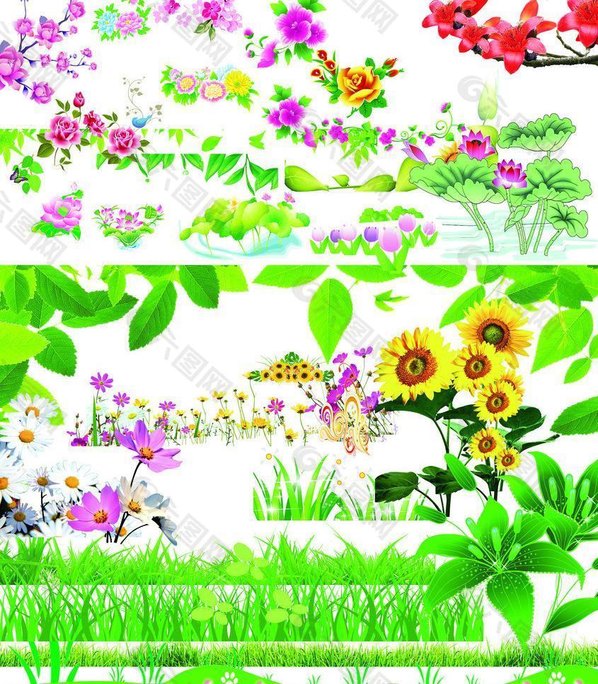 花朵草地叶子图片