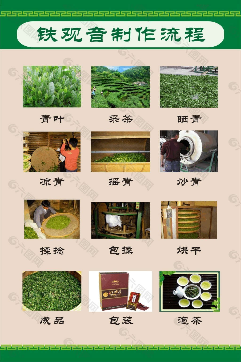 绿茶制作工艺流程图片