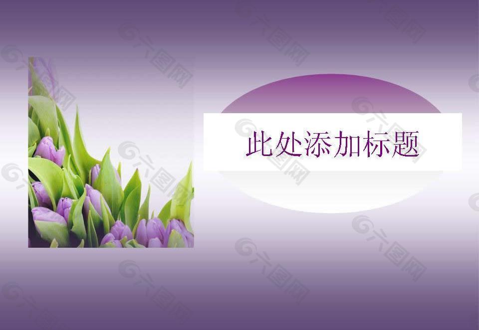 紫色郁金香PPT模板