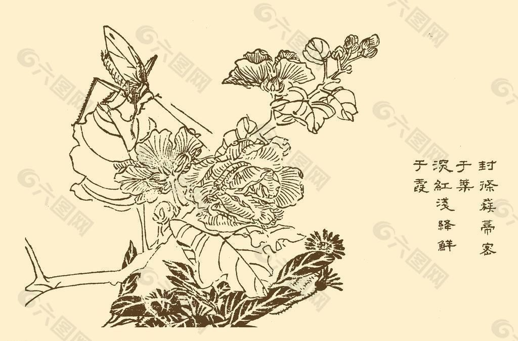 芥子园画谱 花卉图片