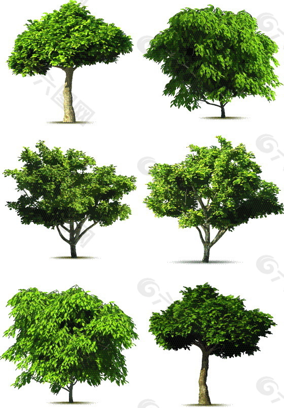 树木矢量素材
