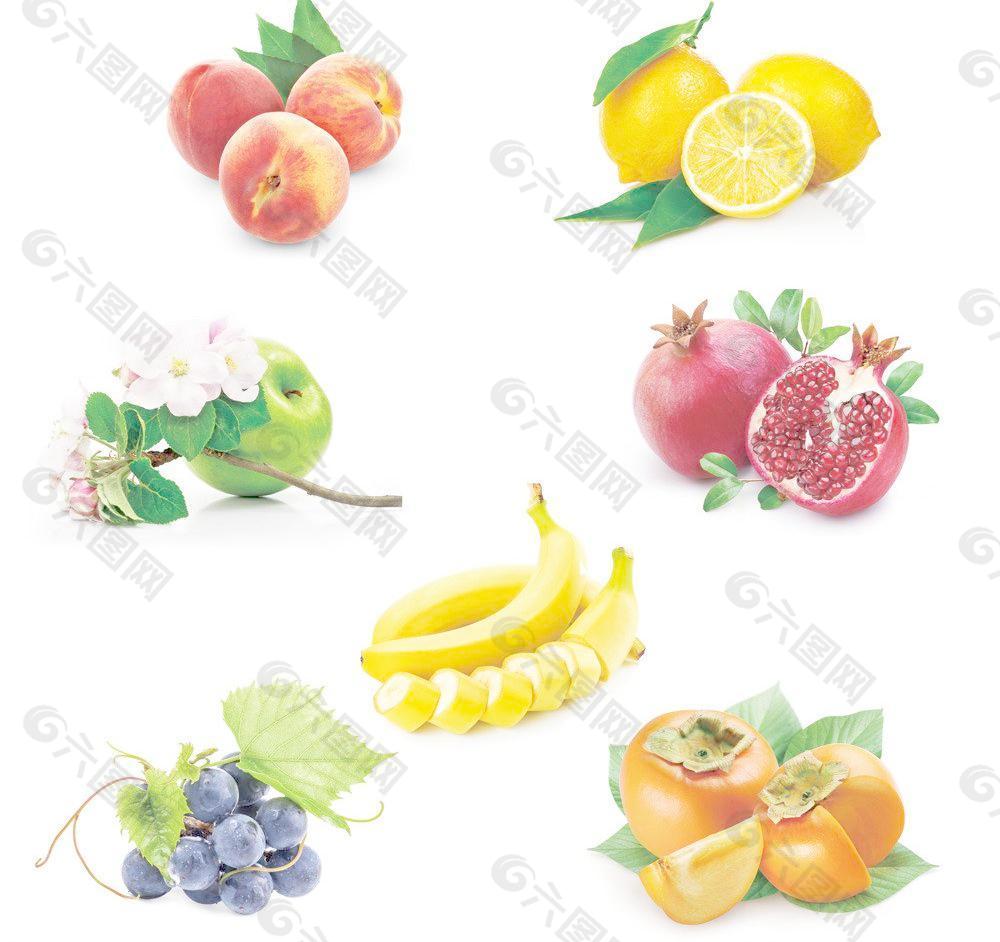 水果 果类图片