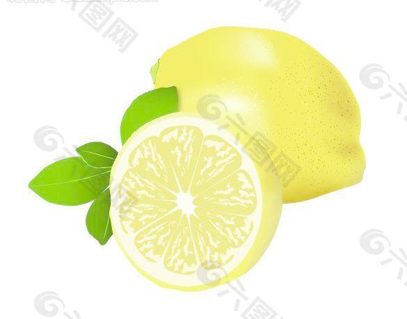 水果矢量图 柠檬图片