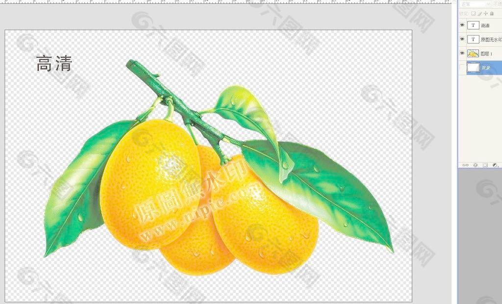 橘子 水果图片