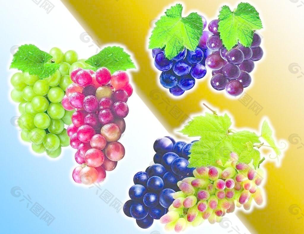 水果葡萄图片