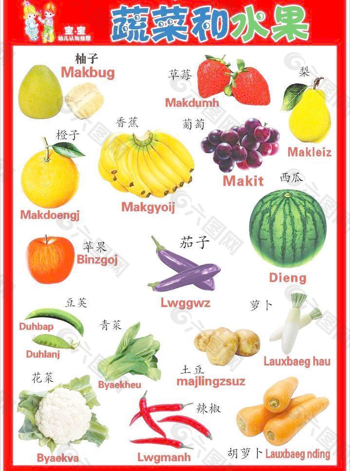 壮汉双语挂图 水果篇图片