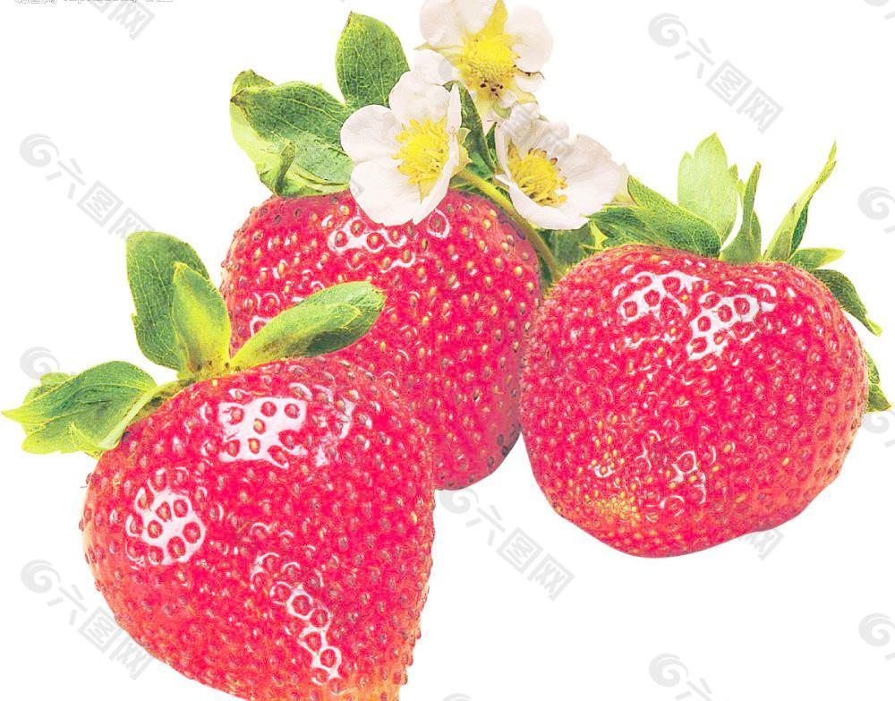 水果（草莓）图片