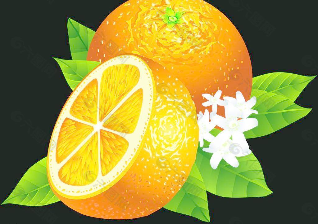鲜橙 水果图片