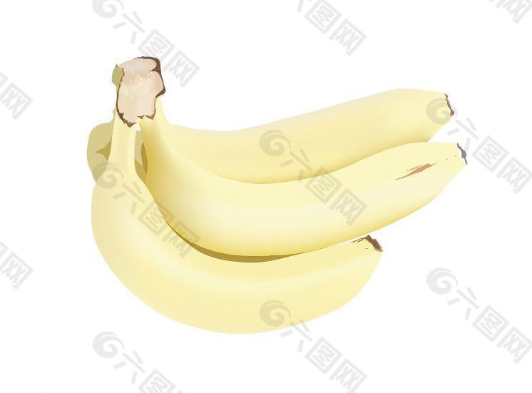 香蕉 矢量图图片